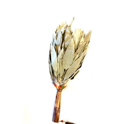 Chakapa Feather Black