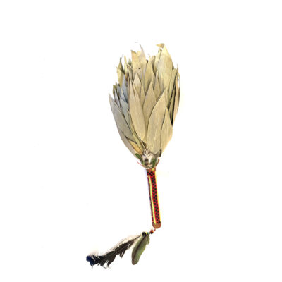 chakapa-with-feathers-blue