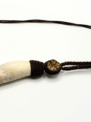 necklace-jaguar-tooth-large