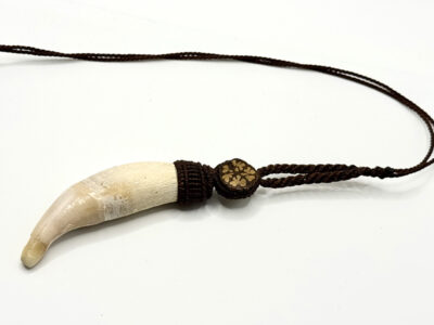 necklace-jaguar-tooth-large necklace-jaguar-tooth-large