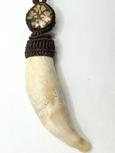 Necklace Cabara Tooth Medium