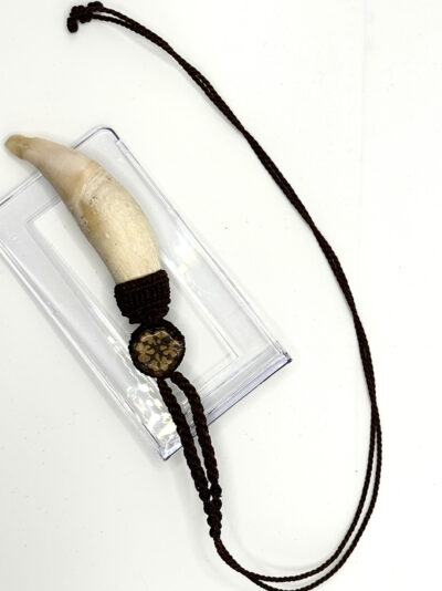 Necklace Cabara Tooth Medium