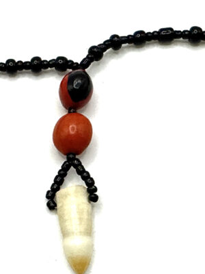 necklace-monkey-tooth