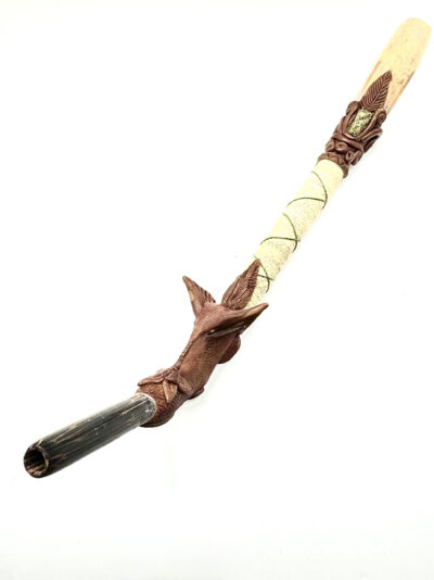 tepi-hummingbird-colibri-in-fight