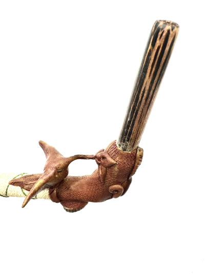 tepi-hummingbird-colibri-in-fight